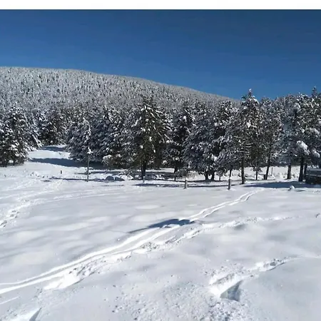 Apartamento En El Pirineo Catalan